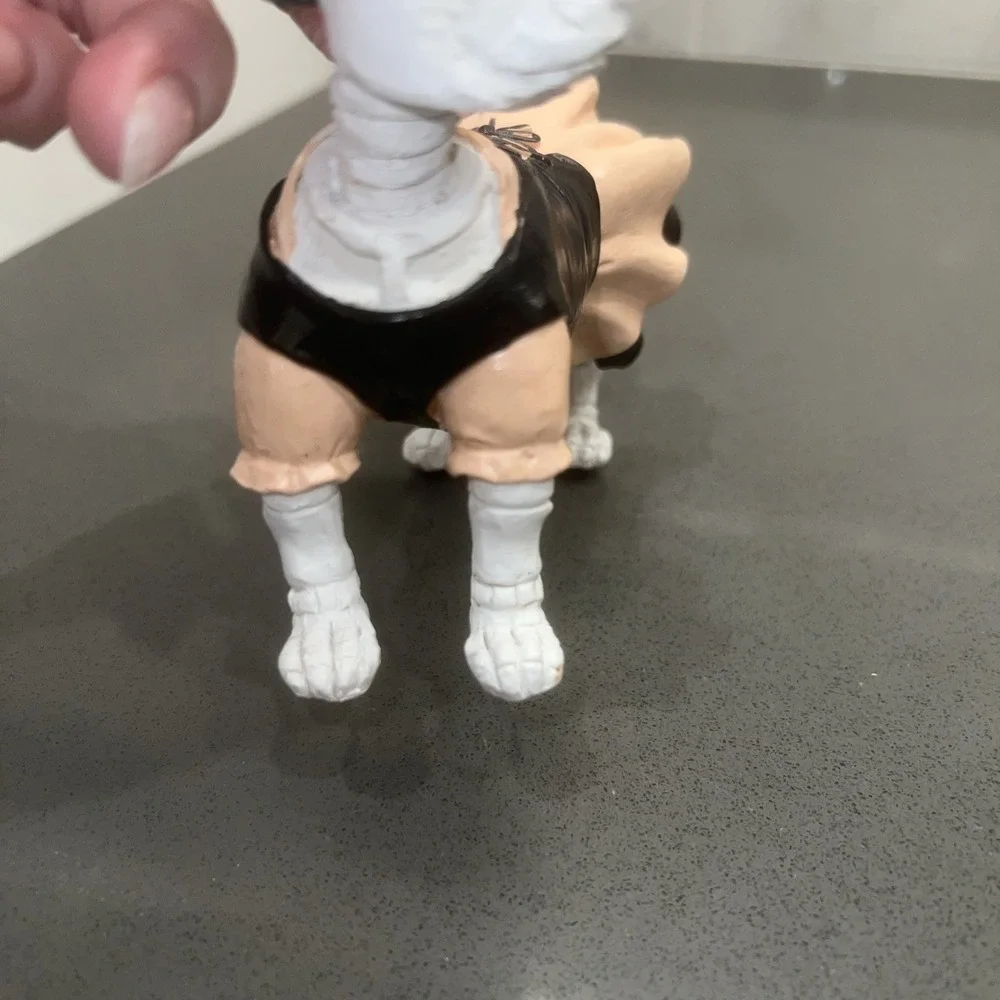 Skeleton Dog In Halloween Costume  5